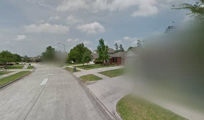 19226 PINEWOOD MIST LN